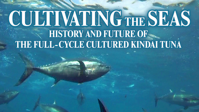 Cultivating the Seas: History and Future of the Full-Cycle Cultured Kindai Tuna