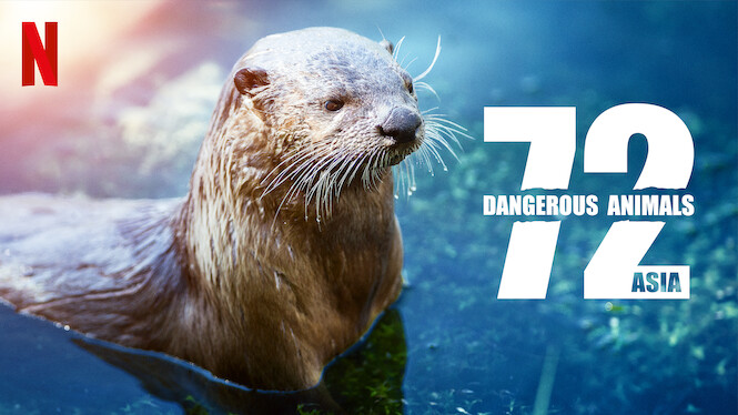 Is '72 Dangerous Animals: Asia' on Netflix in Australia? Where to Watch