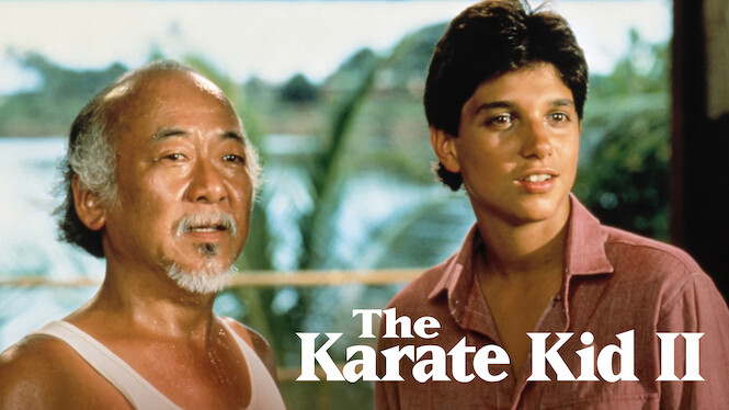 the karate kid netflix series